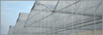 Greenhouse and Roofing Material